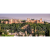 The Alhambra of Granada