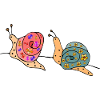 Snails