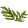 leaf plug leaves