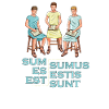 Insegnante di latino - Sum Es Est Sumus Estis Sunt