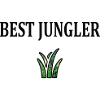 Legue of Legends Best Jungler