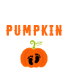 Growing a Little Pumpkin