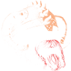 Viking skull