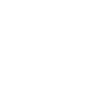Vieux crâne blanc