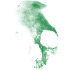 Old skull