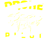 Drone Pilot Quadcopter FPV Drone