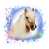 pony, blue, shettland,horse,pony,white pony