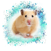 hamster, graffiti,malerei,grün,blau