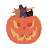 Chats citrouilles d’Halloween