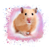 hamster, graffiti, peinture, rose