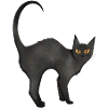 Cat Black