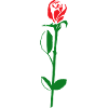 fleur de rose