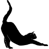 Stretching cat