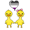 Duck couple Ace Pride