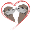 Cute Otter Couple