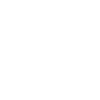 Beetle Swimmer