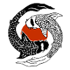 Yin Yang - Kois