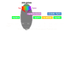 Electromagnetic Radiation Spectrum