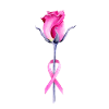 Octobre rose