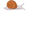 Snails Snails Snail Joke Snail