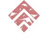 Kite