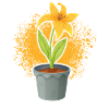 Daffodil Flowerpot Gardener Yellow Flowers