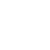 Spinnennetz Spinne