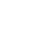Organisateur