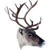 Polyart Reindeer