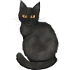 Chat noir