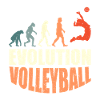 Volleyball Player Evolution Volleyball