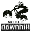 My Hill on Downhill Action Nature MTB Downhiller