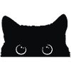 kitten