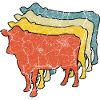 Cow Cows