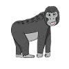 Gorilla