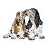 Basset