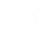 Bratsche – Viola Definition