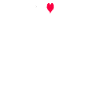 Anchor Seagull Gift