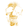 golden skull