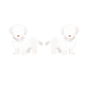 Zwei Malteser Hund Malteser