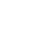 Skull Ornaments