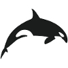 Schwertwal Orca Killerwal