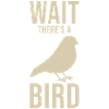 Ornithologist saying