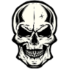 skull skull pirate