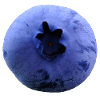 Blueberry