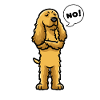 Sturer English Cocker Spaniel Dog