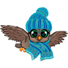 Frost Owl Frostbite Autumn Winter