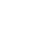 Surveillant