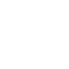 Roboticien