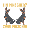 Zwei Pinscher Hund Pinscher
